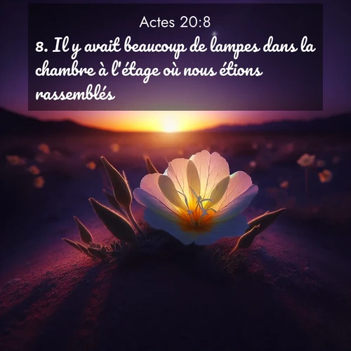 Segond21 Actes  ; image nature: image avec le verset biblique :Il y avait beaucoup de lampes dans la chambre à l&#039;étage où nous étions rassemblés. ;  ; 20:8