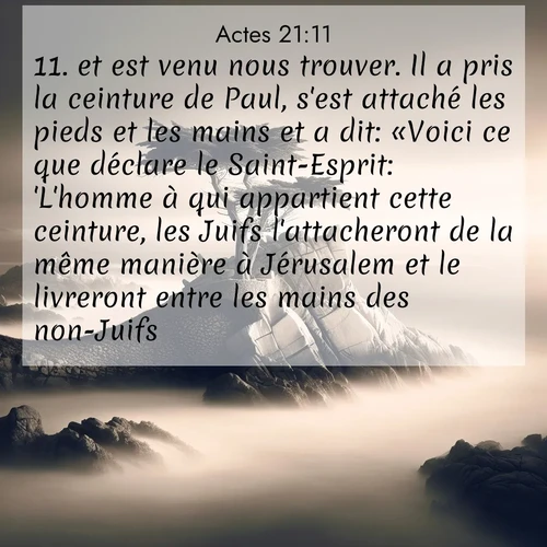 Segond21 Actes  ; image nature: image avec le verset biblique :et est venu nous trouver. Il a pris la ceinture de Paul, s&#039;est attaché les pieds et les mains et a dit: «Voici ce que déclare le Saint-Esprit: &#039;L&#039;homme à qui appartient cette ceinture, les Juifs l&#039;attacheront de la même manière à Jérusalem et le livreront entre les mains des non-Juifs.&#039;» ;  ; 21:11