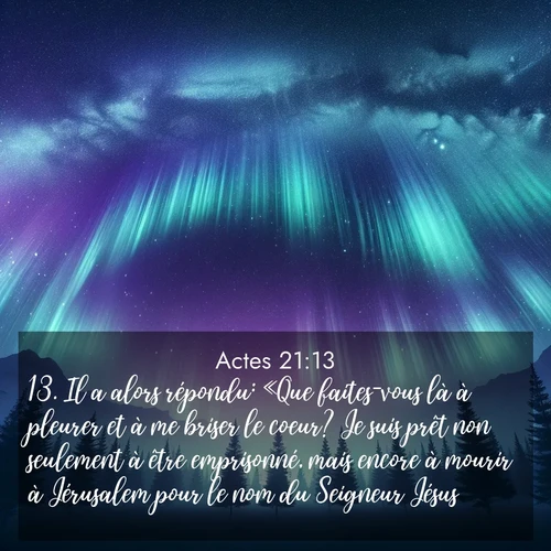 Segond21 Actes  ; image nature: image avec le verset biblique :Il a alors répondu: «Que faites-vous là à pleurer et à me briser le coeur? Je suis prêt non seulement à être emprisonné, mais encore à mourir à Jérusalem pour le nom du Seigneur Jésus.» ;  ; 21:13