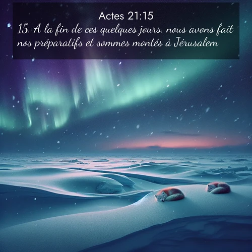 Segond21 Actes  ; image nature: image avec le verset biblique :A la fin de ces quelques jours, nous avons fait nos préparatifs et sommes montés à Jérusalem. ;  ; 21:15