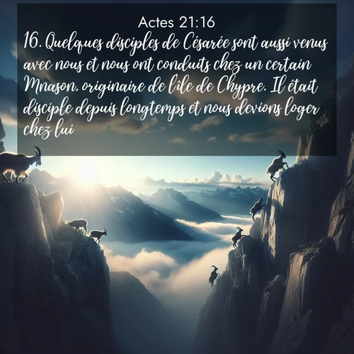 Segond21 Actes  ; image nature: image avec le verset biblique :Quelques disciples de Césarée sont aussi venus avec nous et nous ont conduits chez un certain Mnason, originaire de l&#039;île de Chypre. Il était disciple depuis longtemps et nous devions loger chez lui. ;  ; 21:16