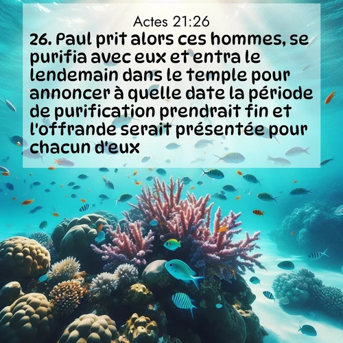 Segond21 Actes  ; image nature: image avec le verset biblique :Paul prit alors ces hommes, se purifia avec eux et entra le lendemain dans le temple pour annoncer à quelle date la période de purification prendrait fin et l&#039;offrande serait présentée pour chacun d&#039;eux. ;  ; 21:26
