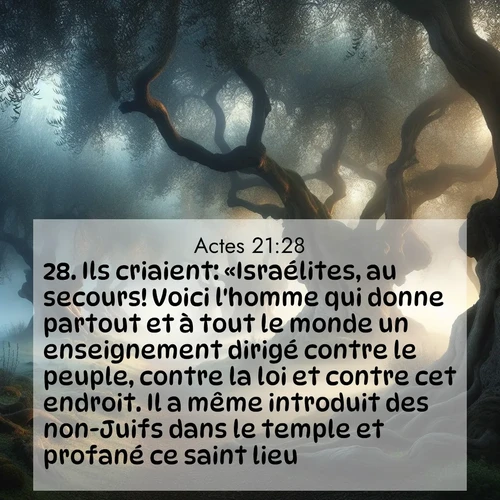 Segond21 Actes  ; image nature: image avec le verset biblique :Ils criaient: «Israélites, au secours! Voici l&#039;homme qui donne partout et à tout le monde un enseignement dirigé contre le peuple, contre la loi et contre cet endroit. Il a même introduit des non-Juifs dans le temple et profané ce saint lieu.» ;  ; 21:28