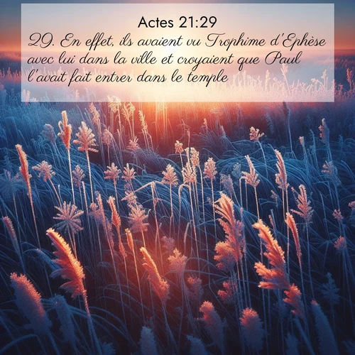 Segond21 Actes  ; image nature: image avec le verset biblique :En effet, ils avaient vu Trophime d&#039;Ephèse avec lui dans la ville et croyaient que Paul l&#039;avait fait entrer dans le temple. ;  ; 21:29