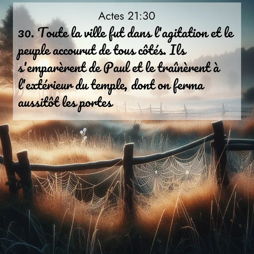Segond21 Actes  ; image nature: image avec le verset biblique :Toute la ville fut dans l&#039;agitation et le peuple accourut de tous côtés. Ils s&#039;emparèrent de Paul et le traînèrent à l&#039;extérieur du temple, dont on ferma aussitôt les portes. ;  ; 21:30