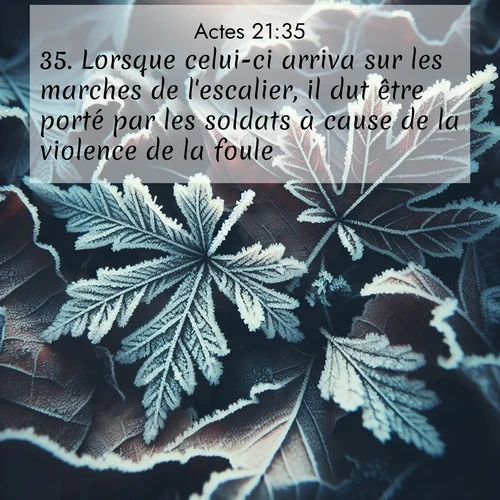 Segond21 Actes  ; image nature: image avec le verset biblique :Lorsque celui-ci arriva sur les marches de l&#039;escalier, il dut être porté par les soldats à cause de la violence de la foule, ;  ; 21:35