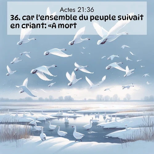 Segond21 Actes  ; image nature: image avec le verset biblique :car l&#039;ensemble du peuple suivait en criant: «A mort!» ;  ; 21:36