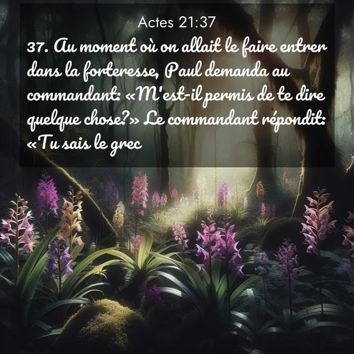 Segond21 Actes  ; image nature: image avec le verset biblique :Au moment où on allait le faire entrer dans la forteresse, Paul demanda au commandant: «M&#039;est-il permis de te dire quelque chose?» Le commandant répondit: «Tu sais le grec? ;  ; 21:37