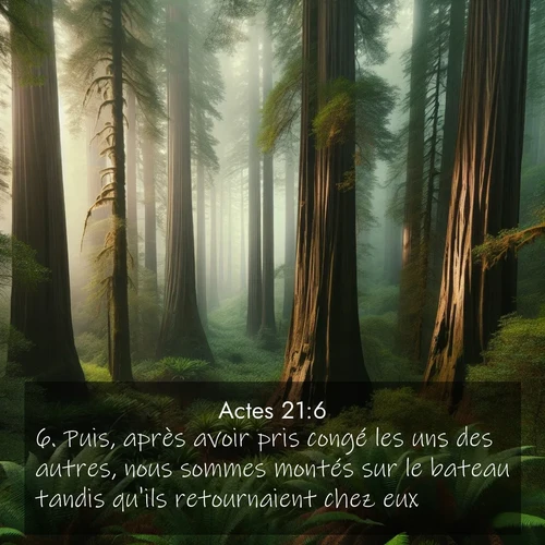 Segond21 Actes  ; image nature: image avec le verset biblique :Puis, après avoir pris congé les uns des autres, nous sommes montés sur le bateau tandis qu&#039;ils retournaient chez eux. ;  ; 21:6