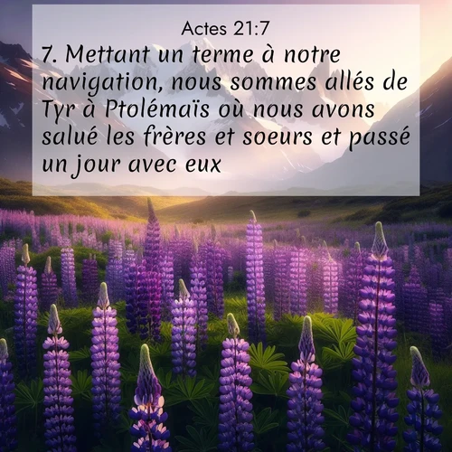 Segond21 Actes  ; image nature: image avec le verset biblique :Mettant un terme à notre navigation, nous sommes allés de Tyr à Ptolémaïs où nous avons salué les frères et soeurs et passé un jour avec eux. ;  ; 21:7