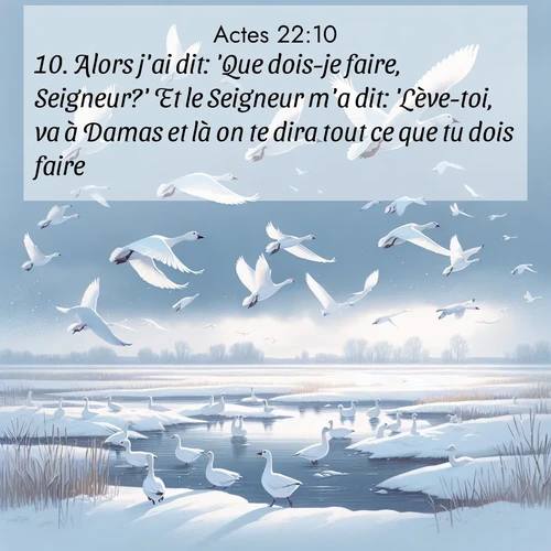 image nature avec verset biblique de la Bible