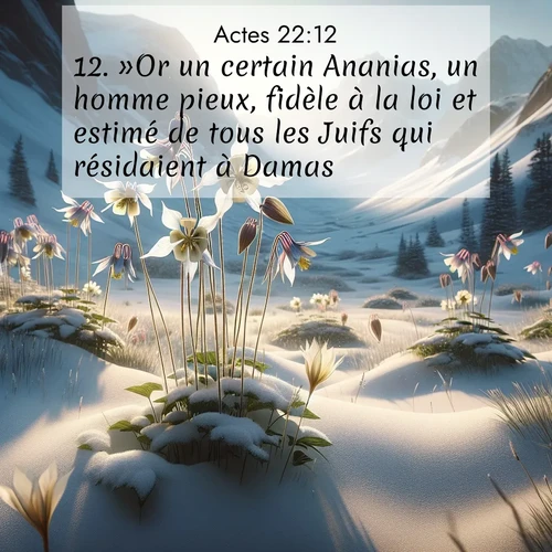 image nature avec verset biblique de la Bible