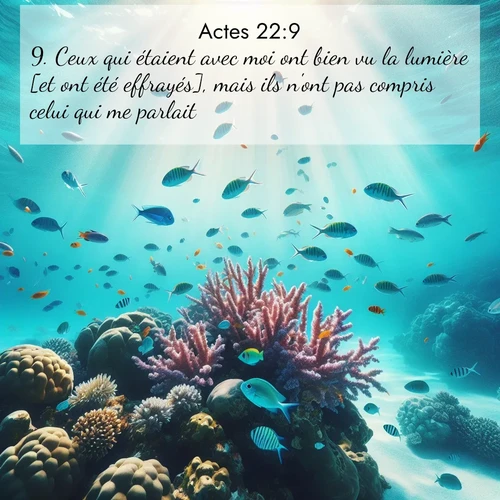 image nature avec verset biblique de la Bible