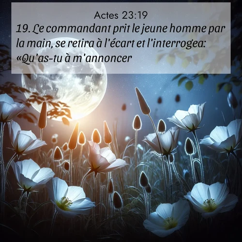 Segond21 Actes  ; image nature: image avec le verset biblique :Le commandant prit le jeune homme par la main, se retira à l&#039;écart et l&#039;interrogea: «Qu&#039;as-tu à m&#039;annoncer?» ;  ; 23:19