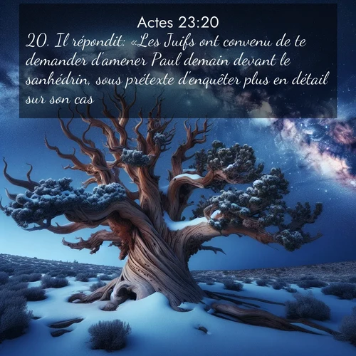 Segond21 Actes  ; image nature: image avec le verset biblique :Il répondit: «Les Juifs ont convenu de te demander d&#039;amener Paul demain devant le sanhédrin, sous prétexte d&#039;enquêter plus en détail sur son cas. ;  ; 23:20