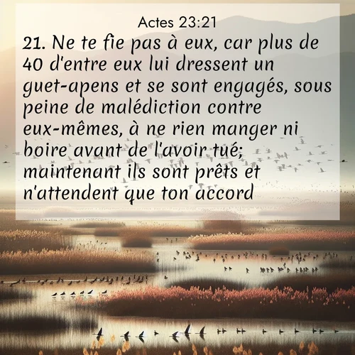 Segond21 Actes  ; image nature: image avec le verset biblique :Ne te fie pas à eux, car plus de 40 d&#039;entre eux lui dressent un guet-apens et se sont engagés, sous peine de malédiction contre eux-mêmes, à ne rien manger ni boire avant de l&#039;avoir tué; maintenant ils sont prêts et n&#039;attendent que ton accord.» ;  ; 23:21