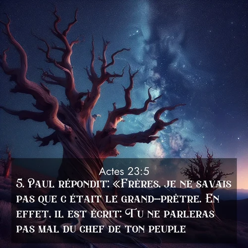 Segond21 Actes  ; image nature: image avec le verset biblique :Paul répondit: «Frères, je ne savais pas que c&#039;était le grand-prêtre. En effet, il est écrit: Tu ne parleras pas mal du chef de ton peuple.» ;  ; 23:5
