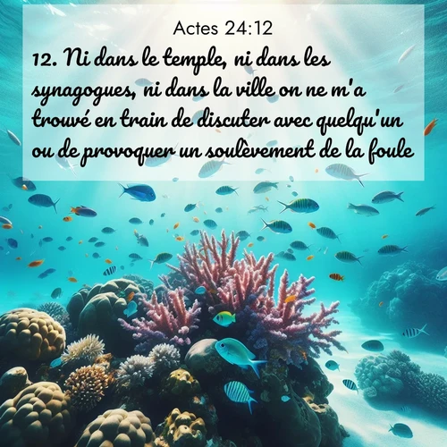 Segond21 Actes  ; image nature: image avec le verset biblique :Ni dans le temple, ni dans les synagogues, ni dans la ville on ne m&#039;a trouvé en train de discuter avec quelqu&#039;un ou de provoquer un soulèvement de la foule. ;  ; 24:12