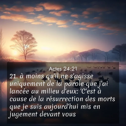 Segond21 Actes  ; image nature: image avec le verset biblique :à moins qu&#039;il ne s&#039;agisse uniquement de la parole que j&#039;ai lancée au milieu d&#039;eux: &#039;C&#039;est à cause de la résurrection des morts que je suis aujourd&#039;hui mis en jugement devant vous.&#039;» ;  ; 24:21