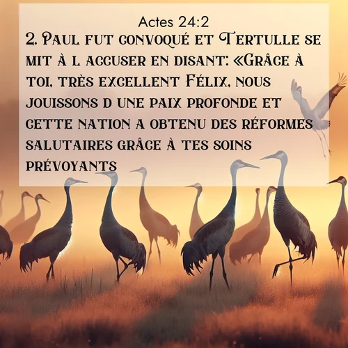 Segond21 Actes  ; image nature: image avec le verset biblique :Paul fut convoqué et Tertulle se mit à l&#039;accuser en disant: «Grâce à toi, très excellent Félix, nous jouissons d&#039;une paix profonde et cette nation a obtenu des réformes salutaires grâce à tes soins prévoyants; ;  ; 24:2