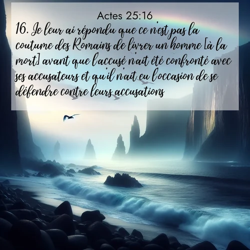 Segond21 Actes  ; image nature: image avec le verset biblique :Je leur ai répondu que ce n&#039;est pas la coutume des Romains de livrer un homme [à la mort] avant que l&#039;accusé n&#039;ait été confronté avec ses accusateurs et qu&#039;il n&#039;ait eu l&#039;occasion de se défendre contre leurs accusations. ;  ; 25:16
