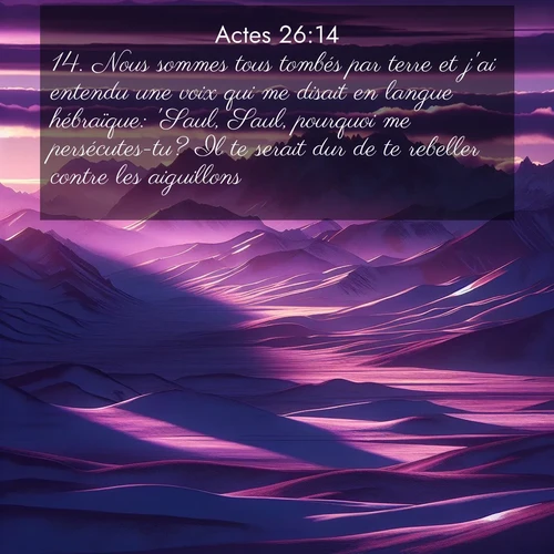 Segond21 Actes  ; image nature: image avec le verset biblique :Nous sommes tous tombés par terre et j&#039;ai entendu une voix qui me disait en langue hébraïque: &#039;Saul, Saul, pourquoi me persécutes-tu? Il te serait dur de te rebeller contre les aiguillons.&#039; ;  ; 26:14