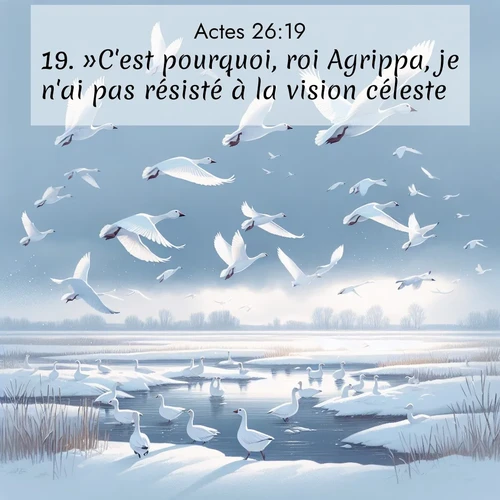 Segond21 Actes  ; image nature: image avec le verset biblique :»C&#039;est pourquoi, roi Agrippa, je n&#039;ai pas résisté à la vision céleste. ;  ; 26:19
