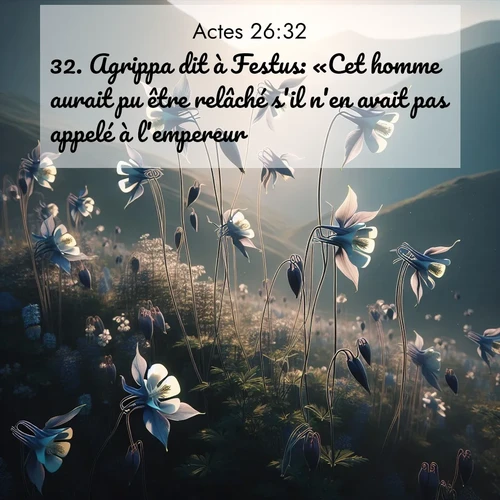 Segond21 Actes  ; image nature: image avec le verset biblique :Agrippa dit à Festus: «Cet homme aurait pu être relâché s&#039;il n&#039;en avait pas appelé à l&#039;empereur.» ;  ; 26:32