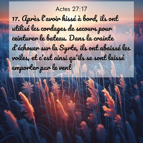 Segond21 Actes  ; image nature: image avec le verset biblique :Après l&#039;avoir hissé à bord, ils ont utilisé les cordages de secours pour ceinturer le bateau. Dans la crainte d&#039;échouer sur la Syrte, ils ont abaissé les voiles, et c&#039;est ainsi qu&#039;ils se sont laissé emporter par le vent. ;  ; 27:17