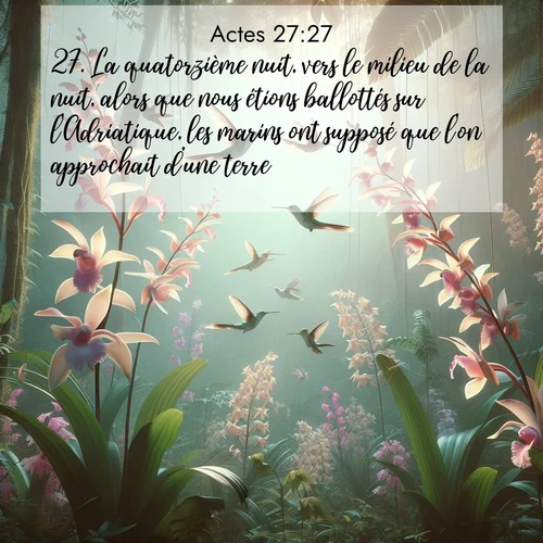 Segond21 Actes  ; image nature: image avec le verset biblique :La quatorzième nuit, vers le milieu de la nuit, alors que nous étions ballottés sur l&#039;Adriatique, les marins ont supposé que l&#039;on approchait d&#039;une terre. ;  ; 27:27