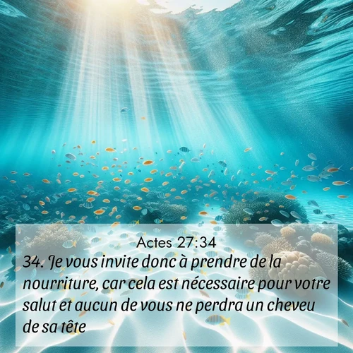 Segond21 Actes  ; image nature: image avec le verset biblique :Je vous invite donc à prendre de la nourriture, car cela est nécessaire pour votre salut et aucun de vous ne perdra un cheveu de sa tête.» ;  ; 27:34
