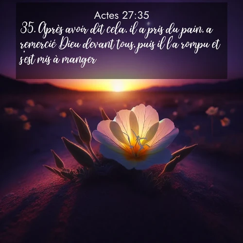 Segond21 Actes  ; image nature: image avec le verset biblique :Après avoir dit cela, il a pris du pain, a remercié Dieu devant tous, puis il l&#039;a rompu et s&#039;est mis à manger. ;  ; 27:35