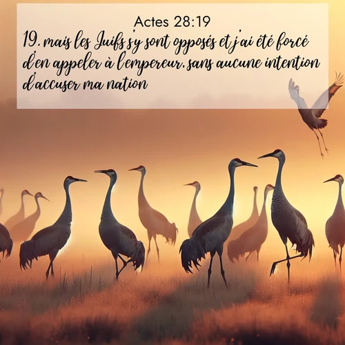 Segond21 Actes  ; image nature: image avec le verset biblique :mais les Juifs s&#039;y sont opposés et j&#039;ai été forcé d&#039;en appeler à l&#039;empereur, sans aucune intention d&#039;accuser ma nation. ;  ; 28:19