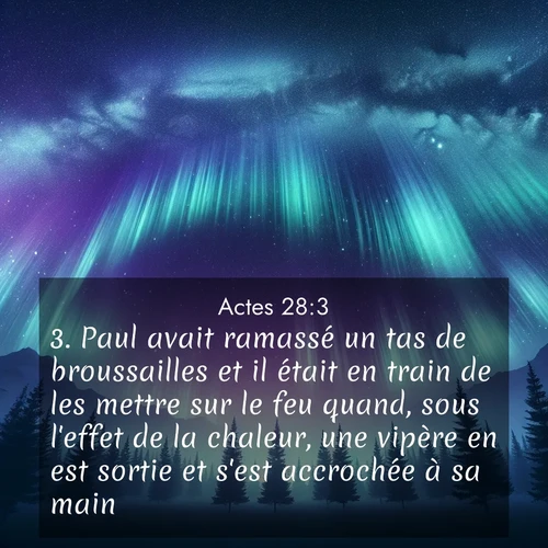 Segond21 Actes  ; image nature: image avec le verset biblique :Paul avait ramassé un tas de broussailles et il était en train de les mettre sur le feu quand, sous l&#039;effet de la chaleur, une vipère en est sortie et s&#039;est accrochée à sa main. ;  ; 28:3