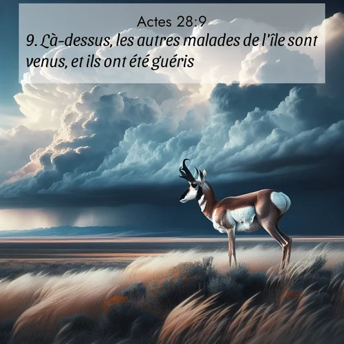 Segond21 Actes  ; image nature: image avec le verset biblique :Là-dessus, les autres malades de l&#039;île sont venus, et ils ont été guéris. ;  ; 28:9