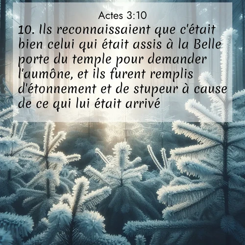 Segond21 Actes  ; image nature: image avec le verset biblique :Ils reconnaissaient que c&#039;était bien celui qui était assis à la Belle porte du temple pour demander l&#039;aumône, et ils furent remplis d&#039;étonnement et de stupeur à cause de ce qui lui était arrivé. ;  ; 3:10