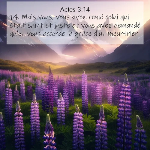 Segond21 Actes  ; image nature: image avec le verset biblique :Mais vous, vous avez renié celui qui était saint et juste et vous avez demandé qu&#039;on vous accorde la grâce d&#039;un meurtrier. ;  ; 3:14