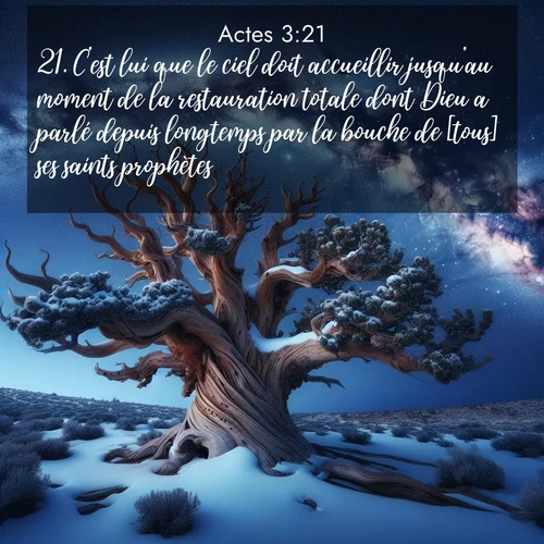 Segond21 Actes  ; image nature: image avec le verset biblique :C&#039;est lui que le ciel doit accueillir jusqu&#039;au moment de la restauration totale dont Dieu a parlé depuis longtemps par la bouche de [tous] ses saints prophètes. ;  ; 3:21