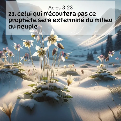 Segond21 Actes  ; image nature: image avec le verset biblique :celui qui n&#039;écoutera pas ce prophète sera exterminé du milieu du peuple. ;  ; 3:23