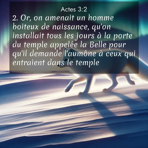 Segond21 Actes  ; image nature: image avec le verset biblique :Or, on amenait un homme boiteux de naissance, qu&#039;on installait tous les jours à la porte du temple appelée la Belle pour qu&#039;il demande l&#039;aumône à ceux qui entraient dans le temple. ;  ; 3:2