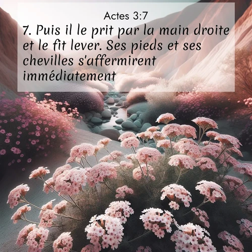 Segond21 Actes  ; image nature: image avec le verset biblique :Puis il le prit par la main droite et le fit lever. Ses pieds et ses chevilles s&#039;affermirent immédiatement; ;  ; 3:7