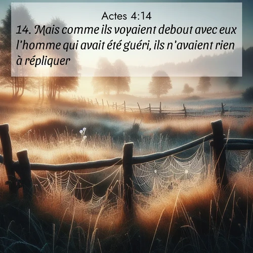Segond21 Actes  ; image nature: image avec le verset biblique :Mais comme ils voyaient debout avec eux l&#039;homme qui avait été guéri, ils n&#039;avaient rien à répliquer. ;  ; 4:14