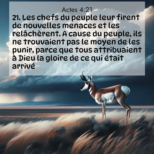 Segond21 Actes  ; image nature: image avec le verset biblique :Les chefs du peuple leur firent de nouvelles menaces et les relâchèrent. A cause du peuple, ils ne trouvaient pas le moyen de les punir, parce que tous attribuaient à Dieu la gloire de ce qui était arrivé. ;  ; 4:21