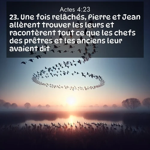 Segond21 Actes  ; image nature: image avec le verset biblique :Une fois relâchés, Pierre et Jean allèrent trouver les leurs et racontèrent tout ce que les chefs des prêtres et les anciens leur avaient dit. ;  ; 4:23