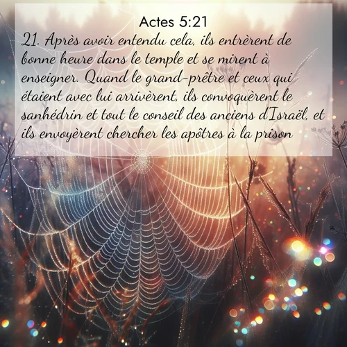 Segond21 Actes  ; image nature: image avec le verset biblique :Après avoir entendu cela, ils entrèrent de bonne heure dans le temple et se mirent à enseigner. Quand le grand-prêtre et ceux qui étaient avec lui arrivèrent, ils convoquèrent le sanhédrin et tout le conseil des anciens d&#039;Israël, et ils envoyèrent chercher les apôtres à la prison. ;  ; 5:21