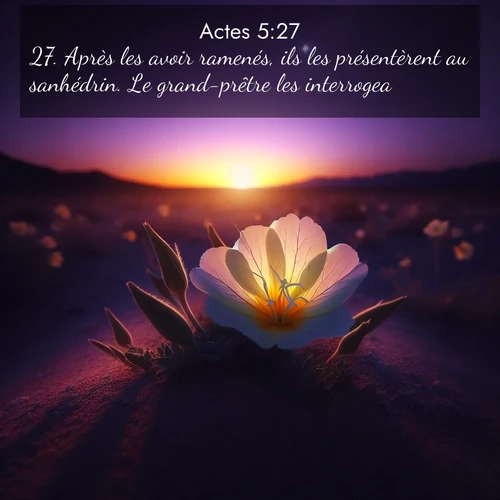image nature avec verset biblique de la Bible