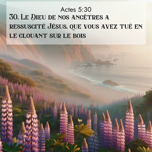 Segond21 Actes  ; image nature: image avec le verset biblique :Le Dieu de nos ancêtres a ressuscité Jésus, que vous avez tué en le clouant sur le bois. ;  ; 5:30