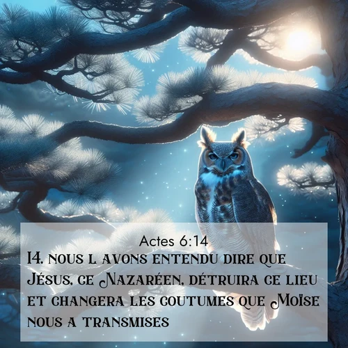 Segond21 Actes  ; image nature: image avec le verset biblique :nous l&#039;avons entendu dire que Jésus, ce Nazaréen, détruira ce lieu et changera les coutumes que Moïse nous a transmises.» ;  ; 6:14