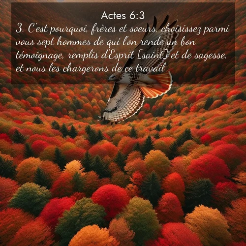 Segond21 Actes  ; image nature: image avec le verset biblique :C&#039;est pourquoi, frères et soeurs, choisissez parmi vous sept hommes de qui l&#039;on rende un bon témoignage, remplis d&#039;Esprit [saint] et de sagesse, et nous les chargerons de ce travail. ;  ; 6:3