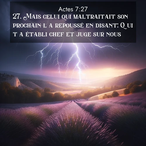 Segond21 Actes  ; image nature: image avec le verset biblique :Mais celui qui maltraitait son prochain l&#039;a repoussé en disant: Qui t&#039;a établi chef et juge sur nous? ;  ; 7:27